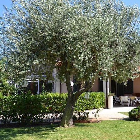 Villa Paola Fontane Bianche Buitenkant foto